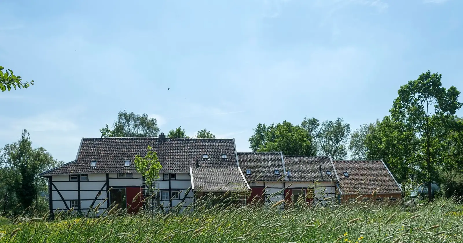Vakwerkhoeve in buurtschap Hurpesch bij Mechelen, gezien vanuit het hoge gras van het Geuldal